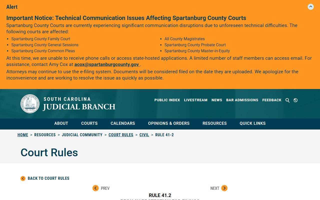 Spartanburg County court records redaction rule for public filings